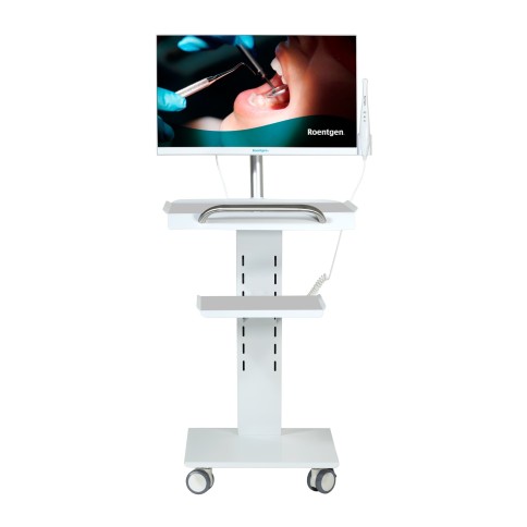 Monitor Touch Todo en Uno con Unidad Móvil Roentgen RTG-ST24