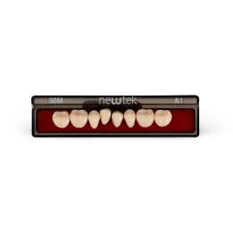 Dientes Provisionales Newtek