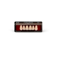 Dientes Provisionales Newtek