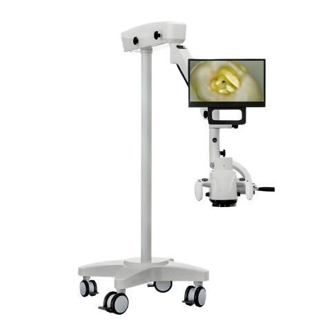 Microscopio Digital Roentgen RTG-D34X Microscopio Digital Roentgen RTG-D34X