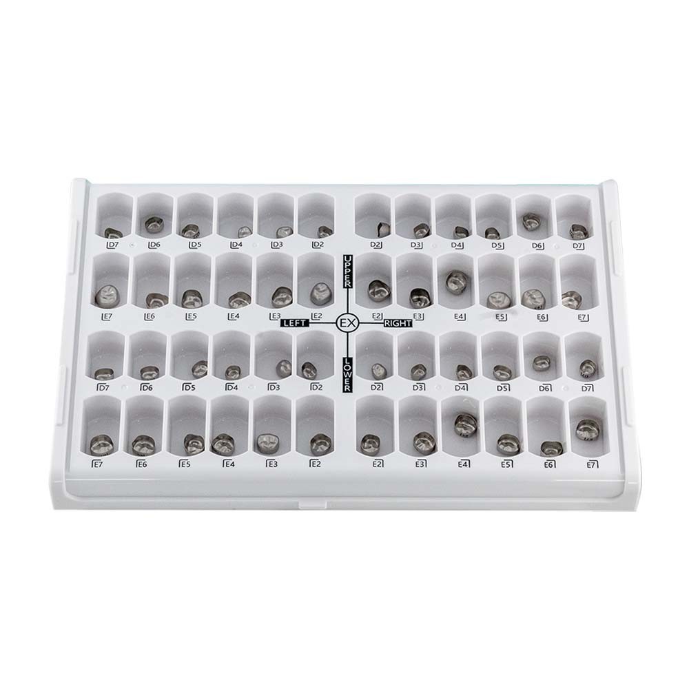 Estuche Para Coronas Rtg Con 48pz