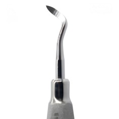 ELEVADOR WOODWARD APICAL DERECHO 16 HU-FRIEDY