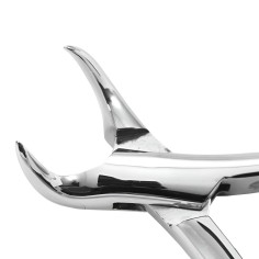 FORCEP INFANTIL 23K CUERNO DE VACA PARA MOLAES INFERIORES