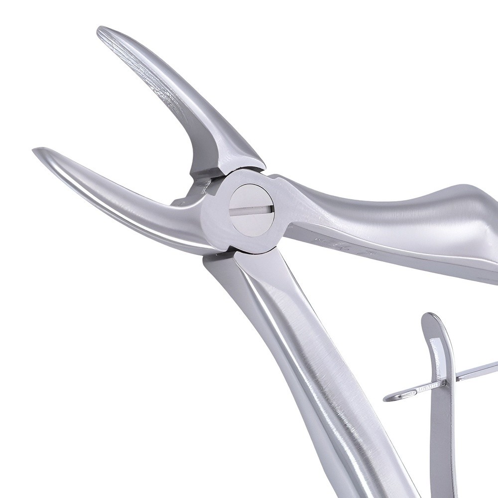 FORCEP INFANTIL PARA RAICES SUPERIORES ESTILO EUROPEO