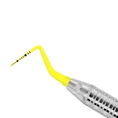 SONDA AMARILLA CAROLINA DEL NORTE 12MM 1MANGO6PUNTAS