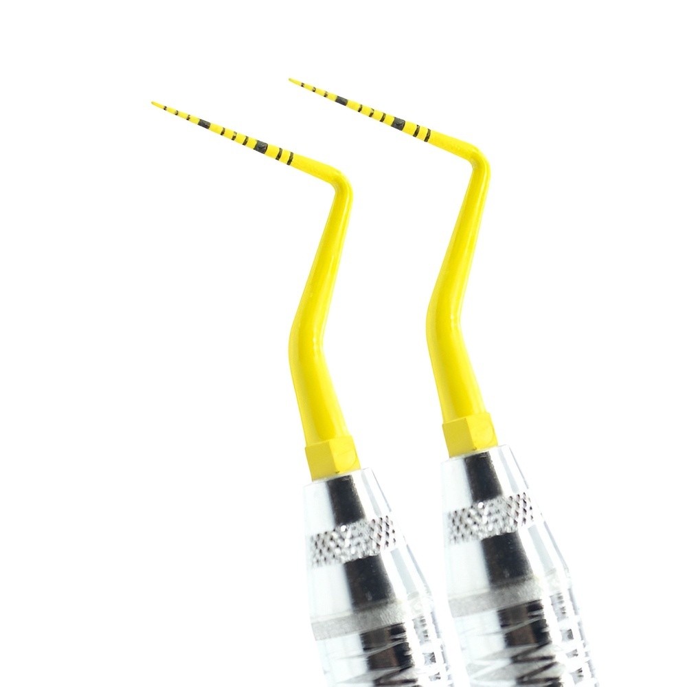 SONDA AMARILLA CAROLINA DEL NORTE 12MM 2MANGOS12PUNTAS