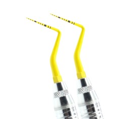 SONDA AMARILLA CAROLINA DEL NORTE 12MM 2MANGOS12PUNTAS