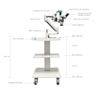 Microscopio Móvil para Endodoncia y Procedimientos Dentales RTG-x25