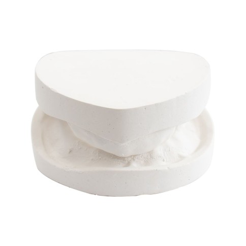 Tipodonto Yeso Desdentado