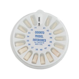 Repuesto de Dientes Columbia
