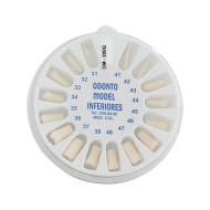 Repuesto de Dientes Columbia