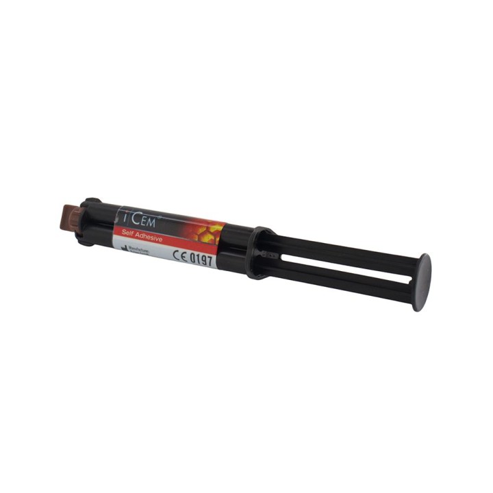 Resina Dual ICEM Jeringa 7 Gr. Kulzer