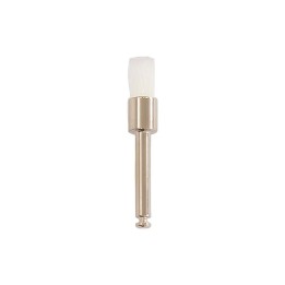 Cepillo para Profilaxis cerdas duras Roentgen