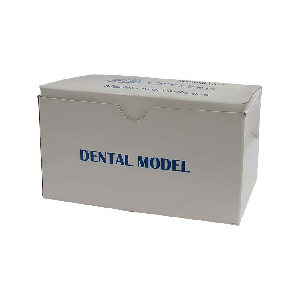 Tipodonto Tipo Columbia