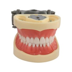 Tipodonto Tipo Nissi Platina Metalica