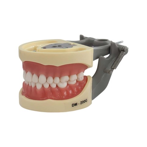 Tipodonto Tipo Nissi Platina Metalica