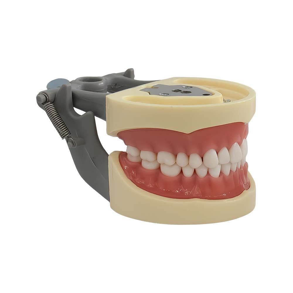 Tipodonto Tipo Nissi Platina Metalica