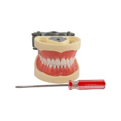 Tipodonto Tipo Nissi Platina Metalica