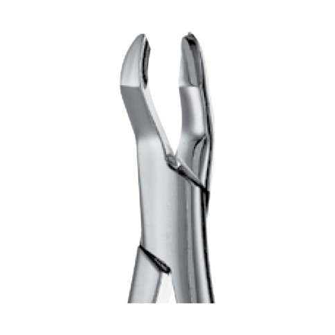 FORCEP 53R DERECHO P/MOLAR SUPERIOR HUF53R FORCEP 53R DERECHO P/MOLAR SUPERIOR HUF53R