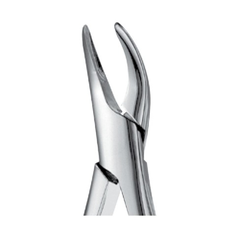 FORCEP 69 PARA RAICES UNIVERSAL HUF69 FORCEP 69 PARA RAICES UNIVERSAL HUF69