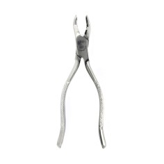Forceps 53R 04-008 TBS