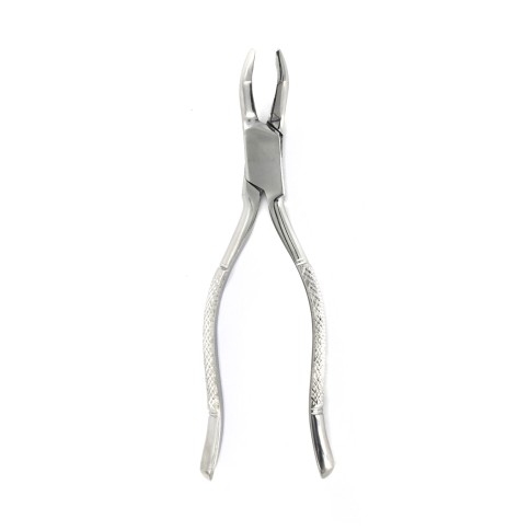 Forceps 53R 04-008 TBS