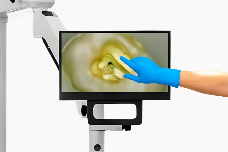 Comunicación médica clara con visualización compartida